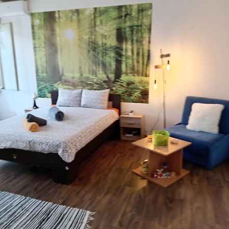 Car Lazar Apartment 베오그라드 외부 사진