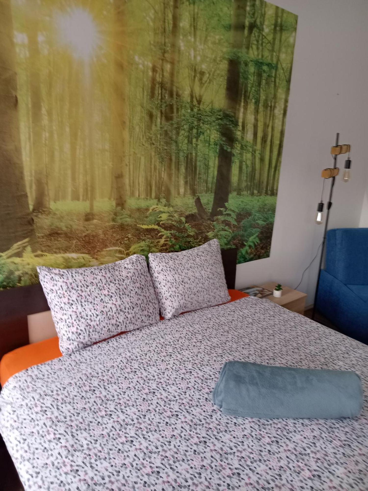 Car Lazar Apartment 베오그라드 외부 사진