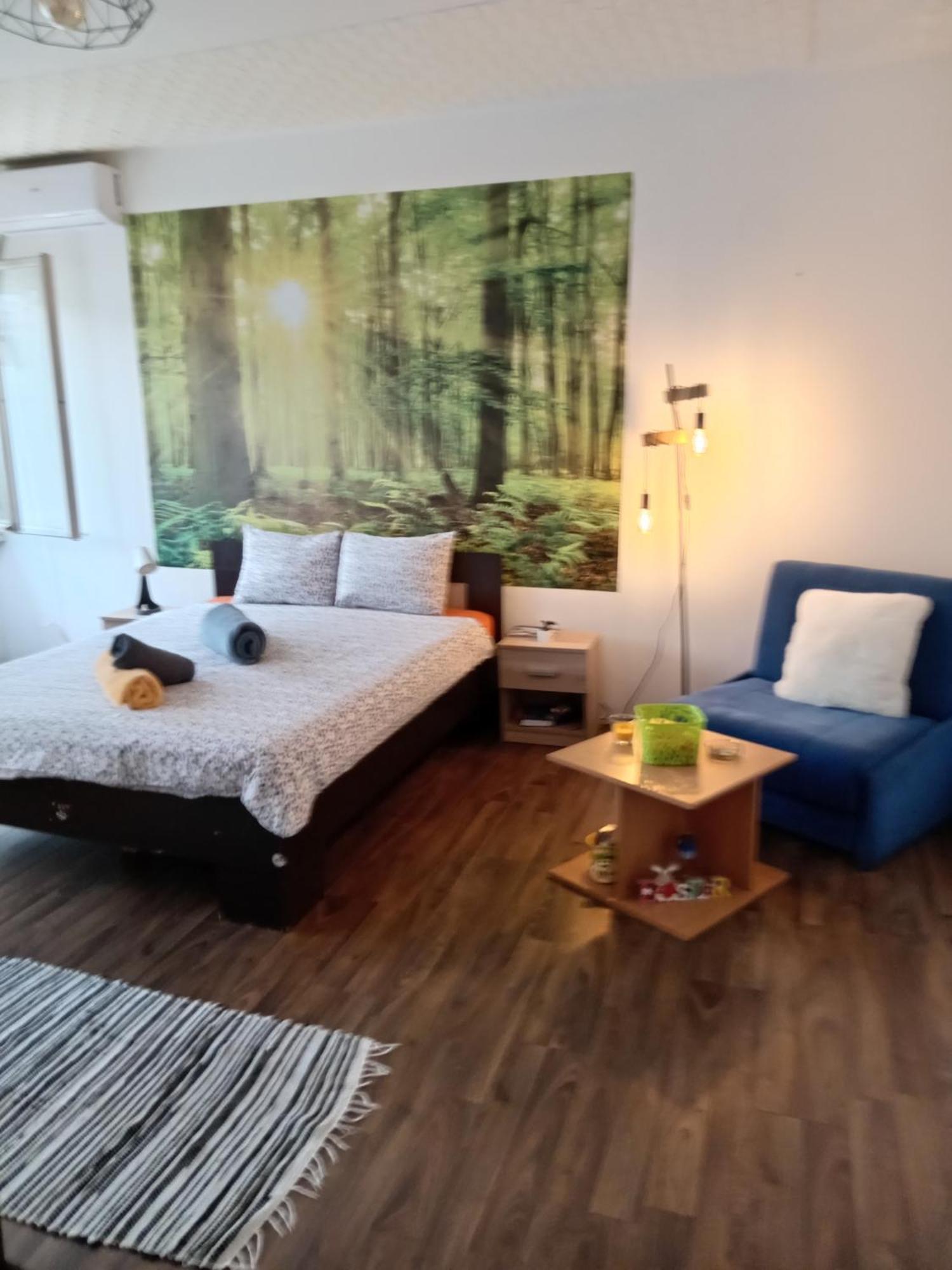 Car Lazar Apartment 베오그라드 외부 사진